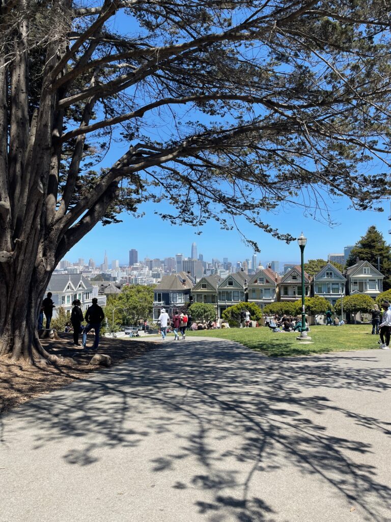 Dolores Park shared by emp